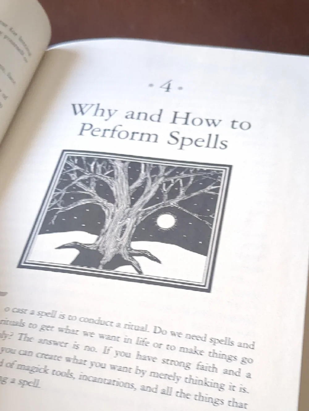 🌙 'Moon Spells' Paperback Book - Picture 9 of 12